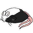Snuggle_Buddies Emoji
