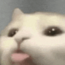 Blep_Cat Emoji