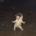 catdance Emoji