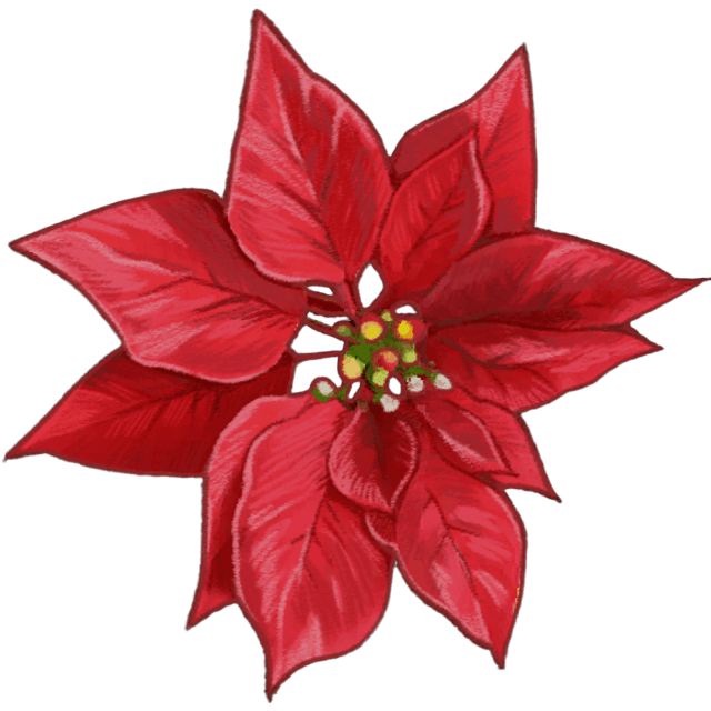RedPoinsettia Emoji