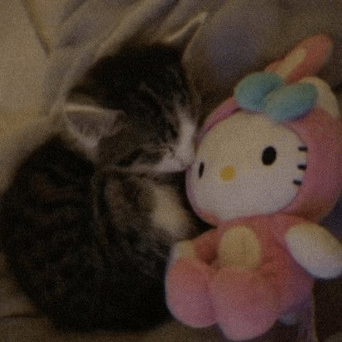 hellokittyandkitty Emoji