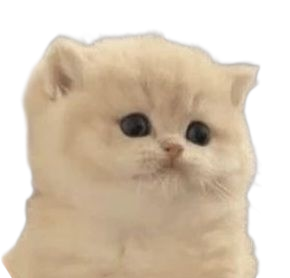 DumbfoundedKitten Emoji