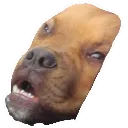 derp_duke_dog Emoji
