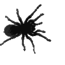 spider Emoji