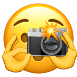caught Emoji