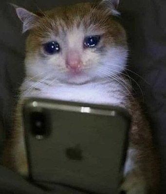 sadcat Emoji