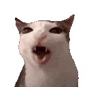 cateat Emoji