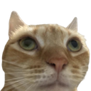 wsp Emoji
