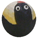 pingu_rolling Emoji