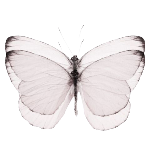 ali Emoji