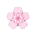 cherryblossomspin Emoji