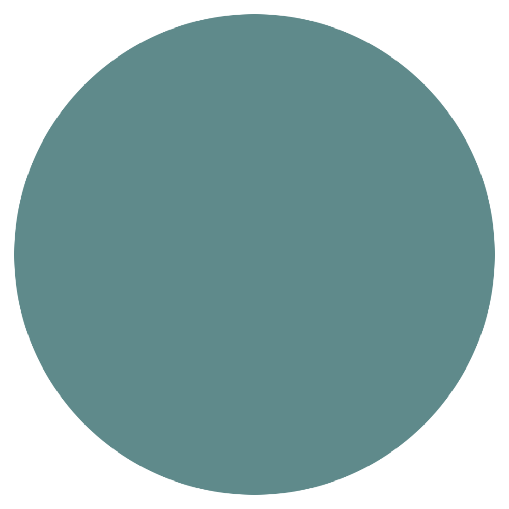SteelTeal Emoji