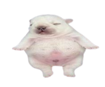 Pibble Emoji