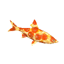 PizzaFishSpin Emoji