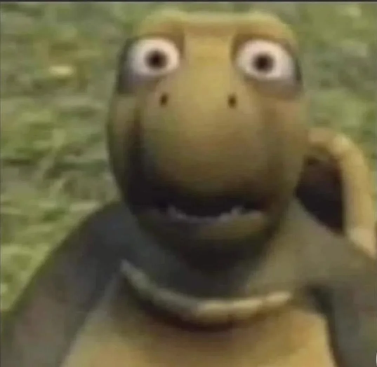 shocked_turtle Emoji
