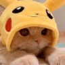 catpikachu Emoji