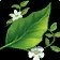 Herbalism Emoji