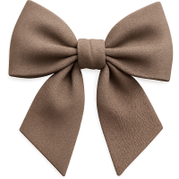 Brown_bow Emoji
