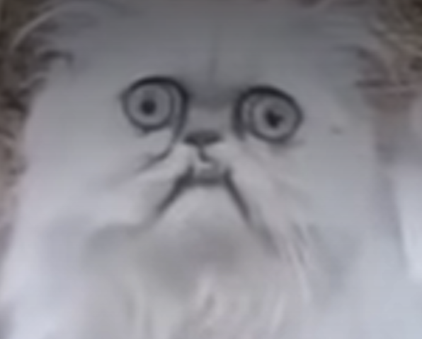 Weirdcat Emoji