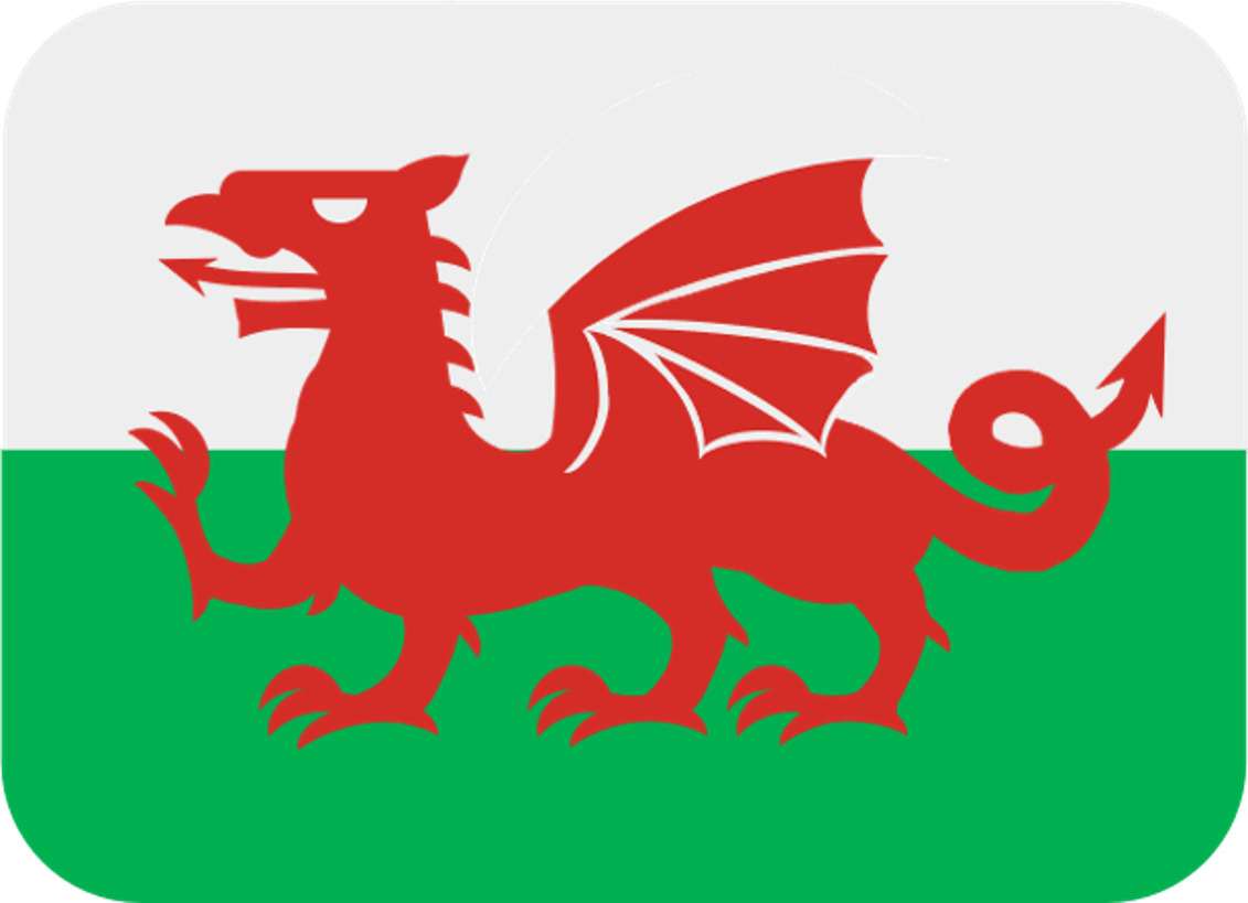 Welsh Flag Discord Emoji