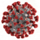 Coronavirus Sticker