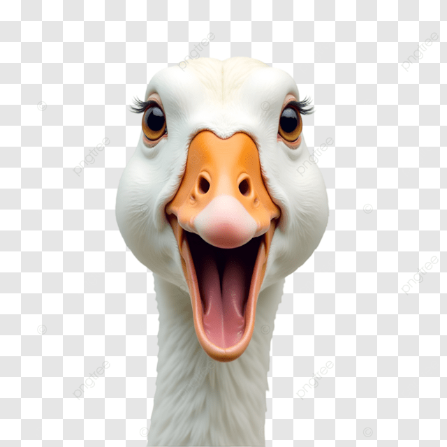 Goose Sticker