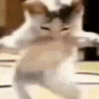 catdance Emoji