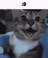 Happy_cat Sticker