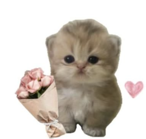 meow Sticker