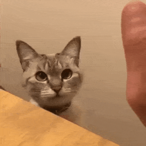 Highfive_cat Emoji