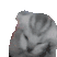 Voices Emoji
