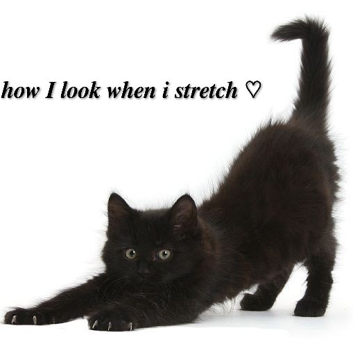 Howilookwhenistretch Sticker
