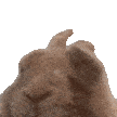 Vibe_bunny Emoji