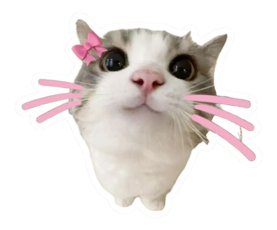 meow Sticker