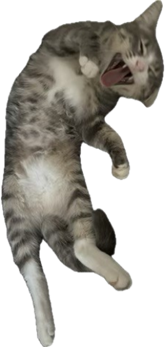 LPJoeySticker Sticker