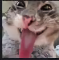 Gatitolenguino Discord Sticker