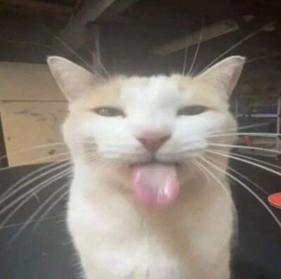 Bleh Sticker