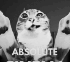 cat_absolute_cinema Sticker