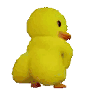 duck_geol Sticker