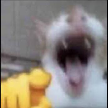 Hhhhhhhhhhhhh Discord Emoji