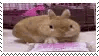 buni Discord Sticker