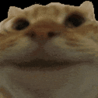 CatNod Sticker