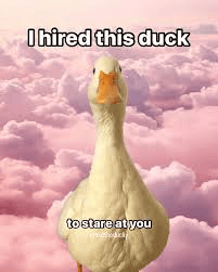 Duckaquired Sticker